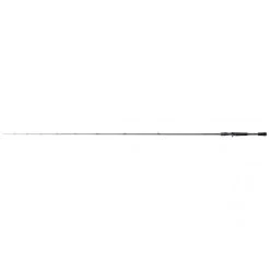 Shimano Curado Casting M 2.18m 10-30g