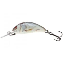 Salmo Hornet Naufrage 2.5cm Real Dace