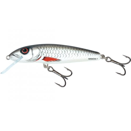 Salmo Minnow Flottant 5cm Dace 1 Salmo Minnow Flottant 5cm Dace