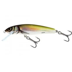 Salmo Minnow Naufrage 7cm Holo Bleak