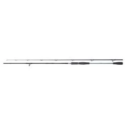 Shimano Canne Yasei AX Pike Spinning 2.50m 40-120g