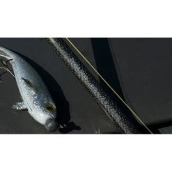 Fox Rage Terminator Canne à Lancer Polyvalente Légère 210 Cm 7-28 G -Pêche Rabais Boutique dsc05009 550x550w