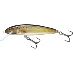 Salmo Minnow Naufrage 5cm Grayling